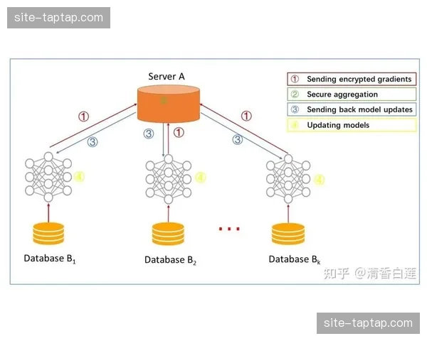 多层次内容分发梯度于本季度初步成型 覆盖从专业视角到草根视角的转化